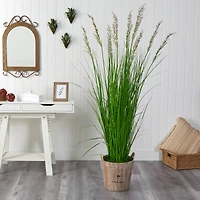 6ft. Grass Plant in Farmhouse Planter