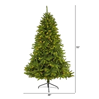 6ft. Pre-Lit Sierra Spruce Artificial Christmas Tree, Clear LED Lights