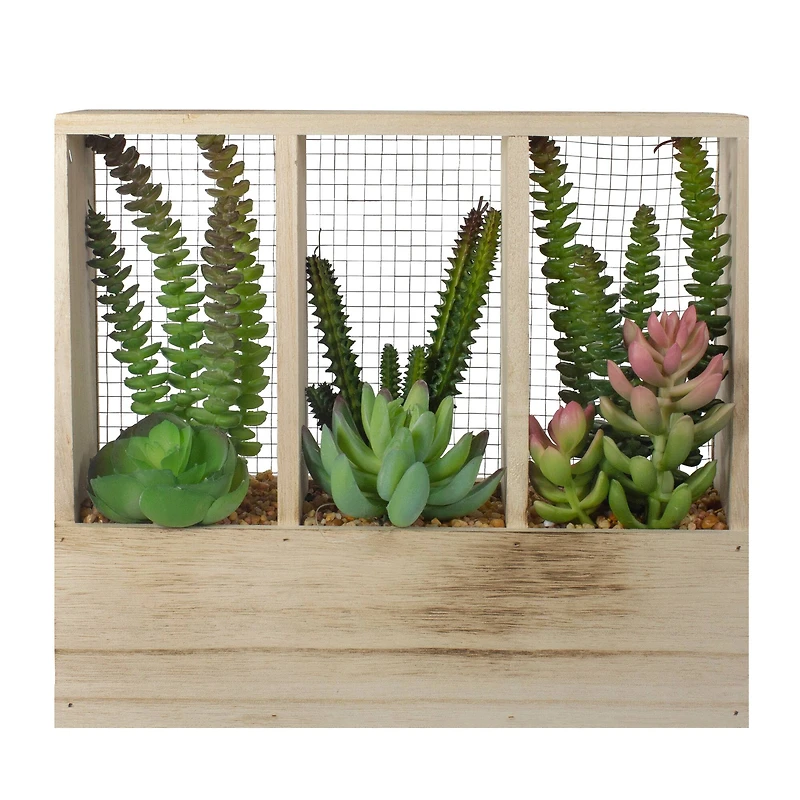 11" Mixed Succulent Arrangement in Wooden Planter Box