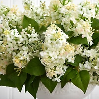 14" Lilac Arrangement in White Vase