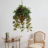 3ft. Mixed Green Vines in Cone Hanging Basket