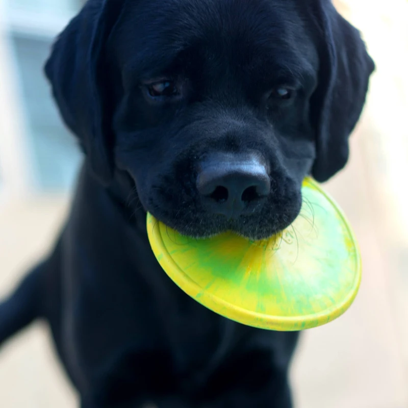 Ruff Dawg™ K9 Flyer Rubber Indestructible Retrieving Dog Toy