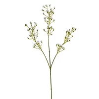 12 Pack: Ivory Mini Baby's Breath Spray by Ashland®