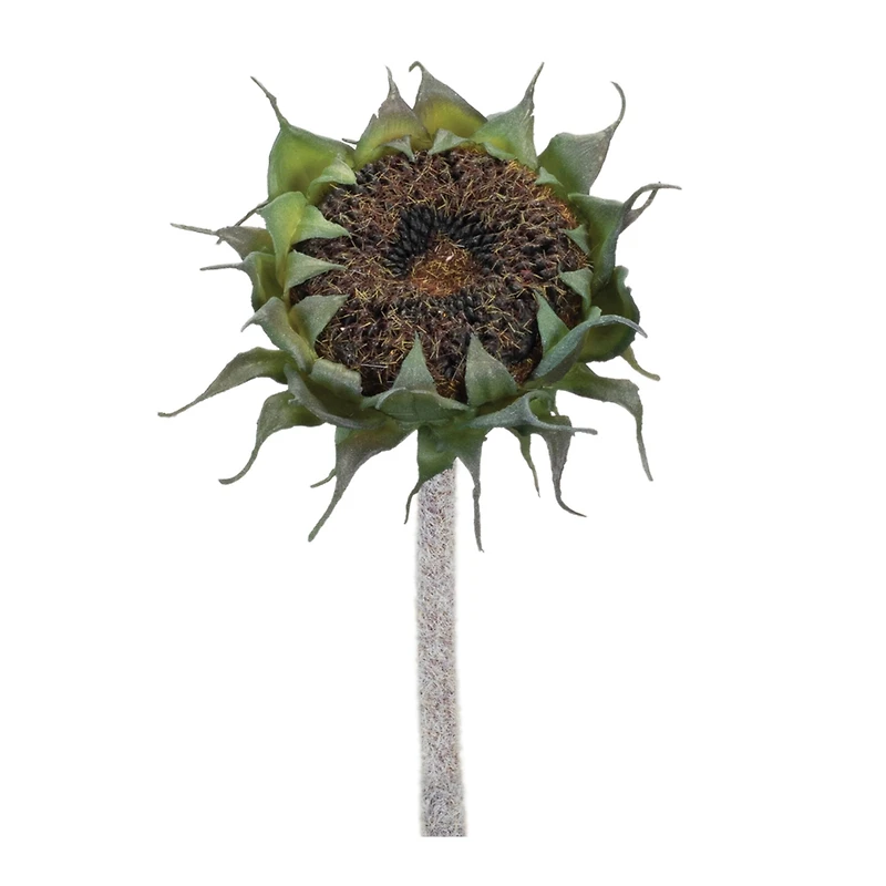 23.75" Brown Sunflower Stem, 6ct.