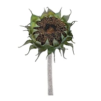 23.75" Brown Sunflower Stem, 6ct.