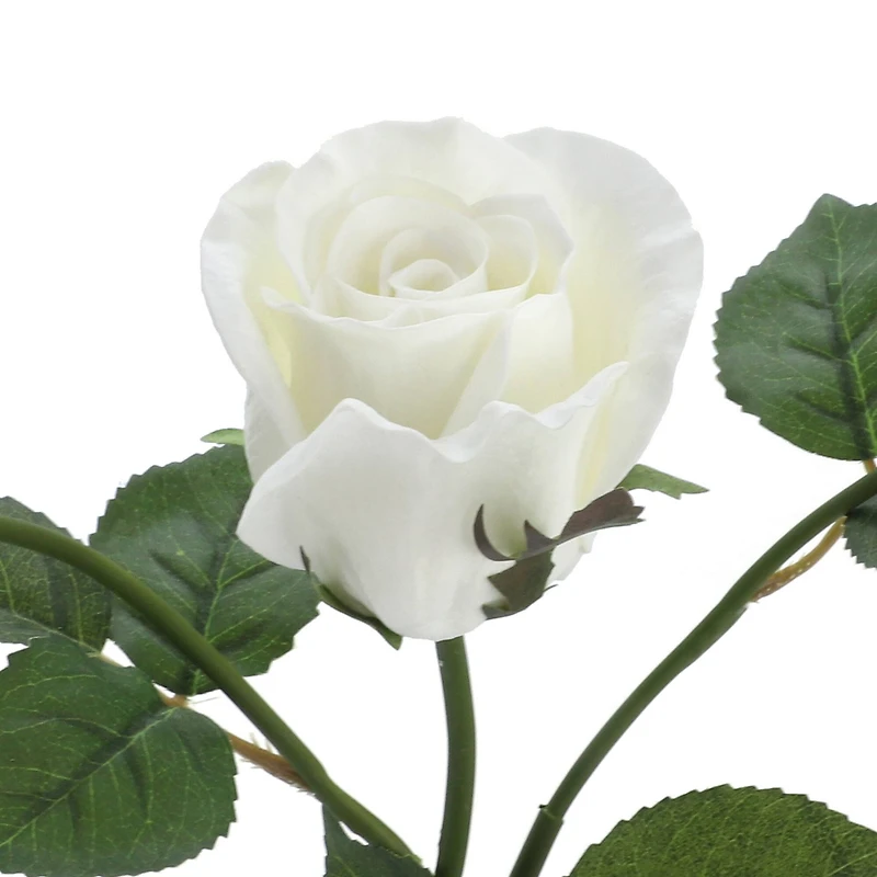 6 Pack: White Rose Spray by Ashland®