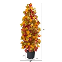 3ft. Potted Autumn Maple Tree