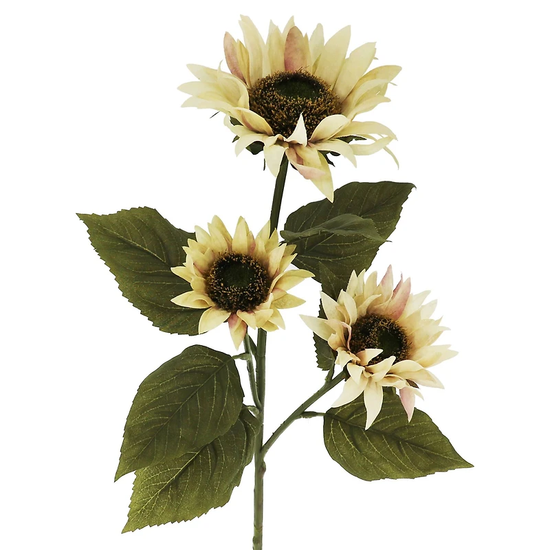 29" Cream Sunflower Stem by Ashland®