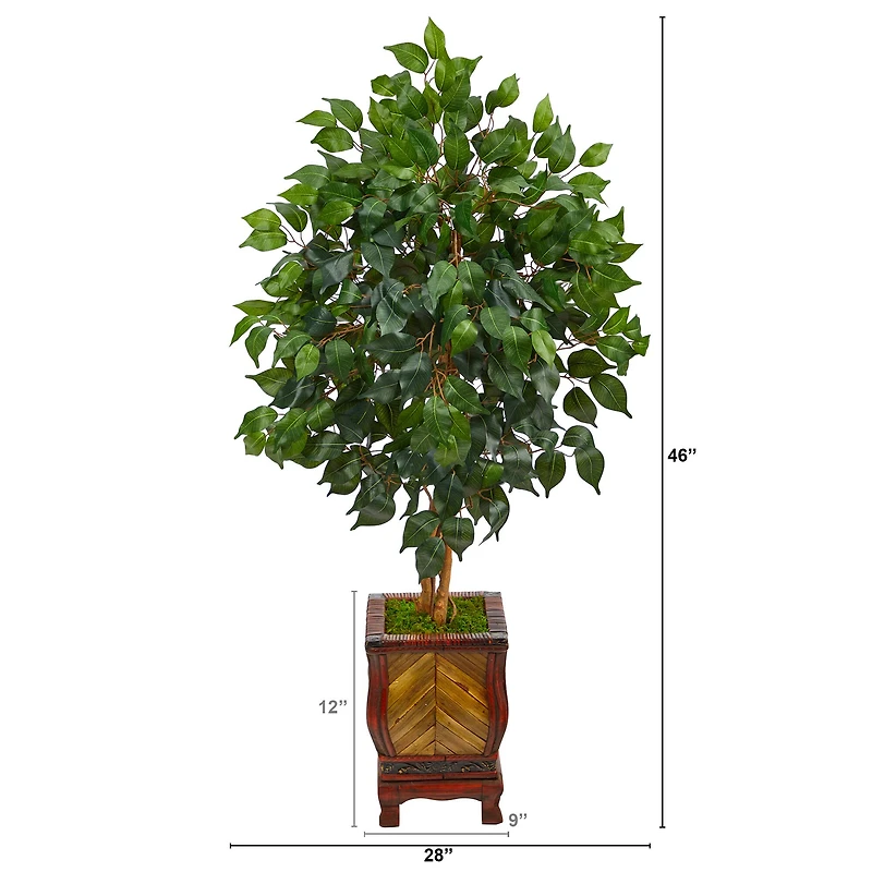 4ft. Ficus Tree in Decorative Planter