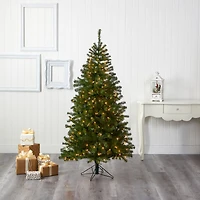6ft. Pre-Lit Springfield Artificial Christmas Tree, Clear LED Lights