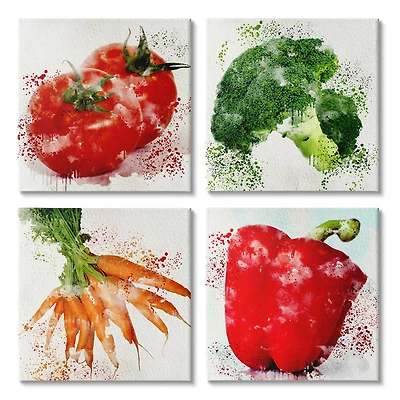 Stupell Industries Splash Color Farm Vegetables Red Green Orange,17" x 17"