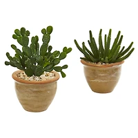 11" Cactus Succulent in Ceramic Vase Set