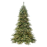 7.5ft. Pre-Lit Royal Majestic Douglas Fir Downswept Artificial Christmas Tree, Clear Lights