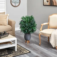 3ft. Bamboo Palm Plant in Gray Planter with Stand