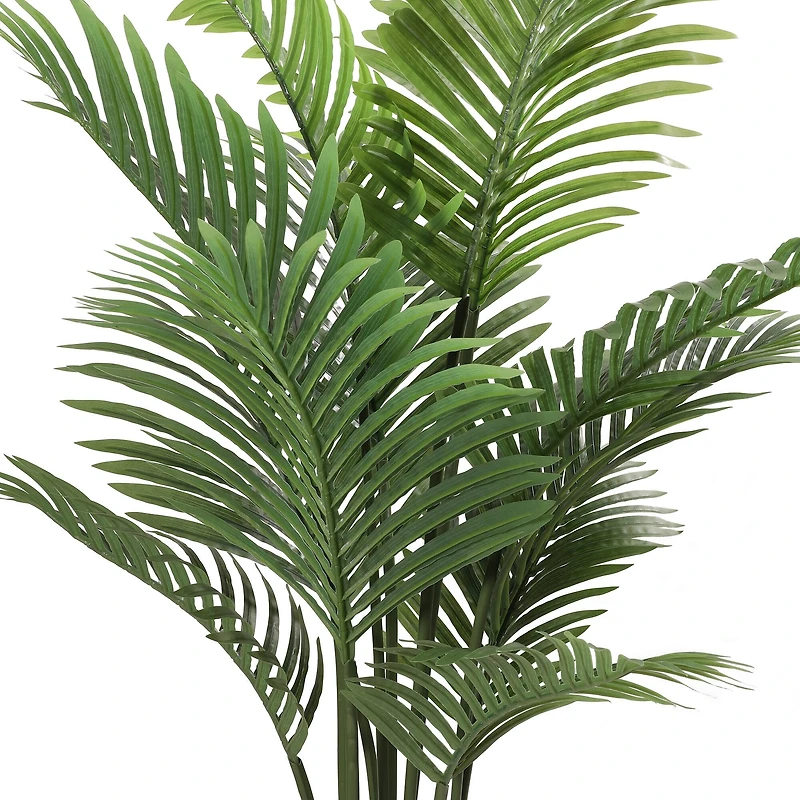 6 Pack: 4ft. Areca Palm in Black Planter