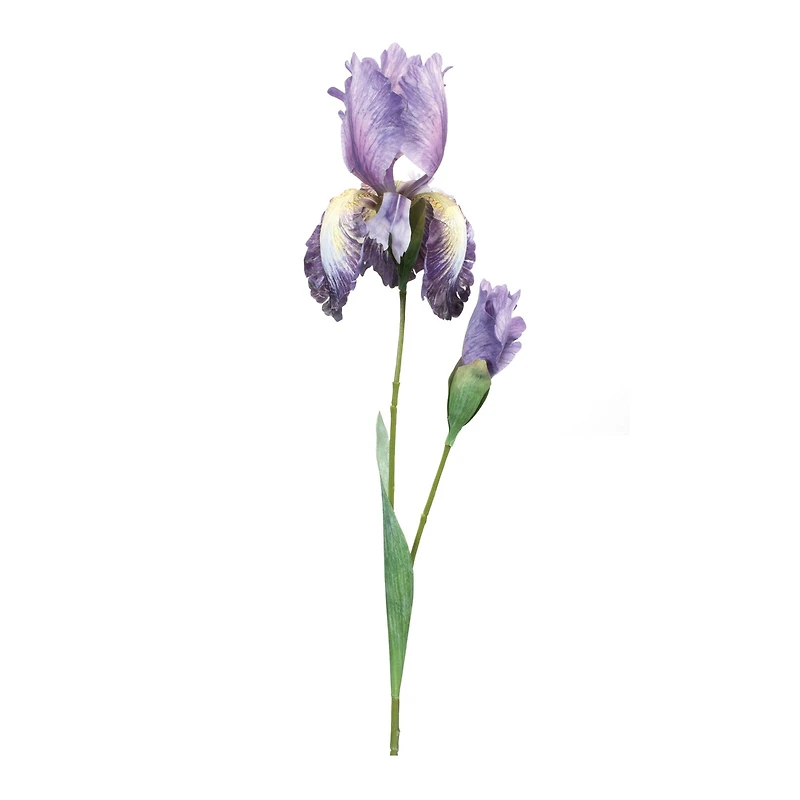 32.5" Iris Floral Stem, 6ct.