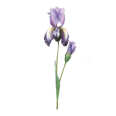 32.5" Iris Floral Stem, 6ct.