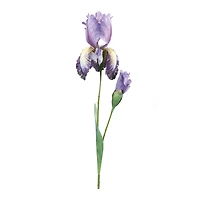 32.5" Iris Floral Stem, 6ct.