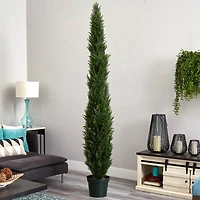 8ft. Potted Mini Cedar Pine Tree