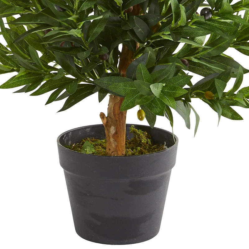 3ft. Potted Olive Cone Topiary Tree