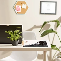 Dragon Fire Incense Burner 10.75" x 2.87" x 2.62