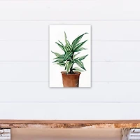 Leafy Green Potted Plant 11" x 14" Canvas Wall Art