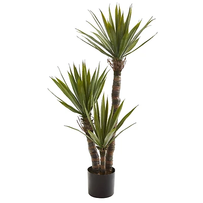 4ft. Potted Yucca Tree