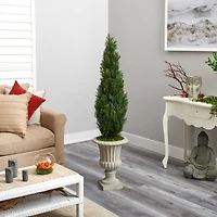 5ft. Cedar Tree in Sand Finished Urn