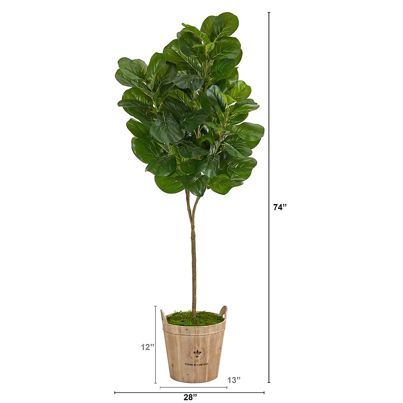 6ft. Fiddle Leaf Fig Tree in Farmhouse Planter