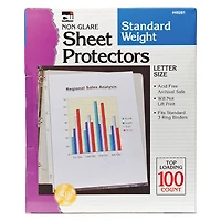 Charles Leonard Letter Size Non-Glare Sheet Protectors, 2 Packs of 100