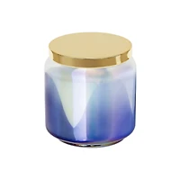 12oz. Gold Lid Scented Jar Candle by Ashland