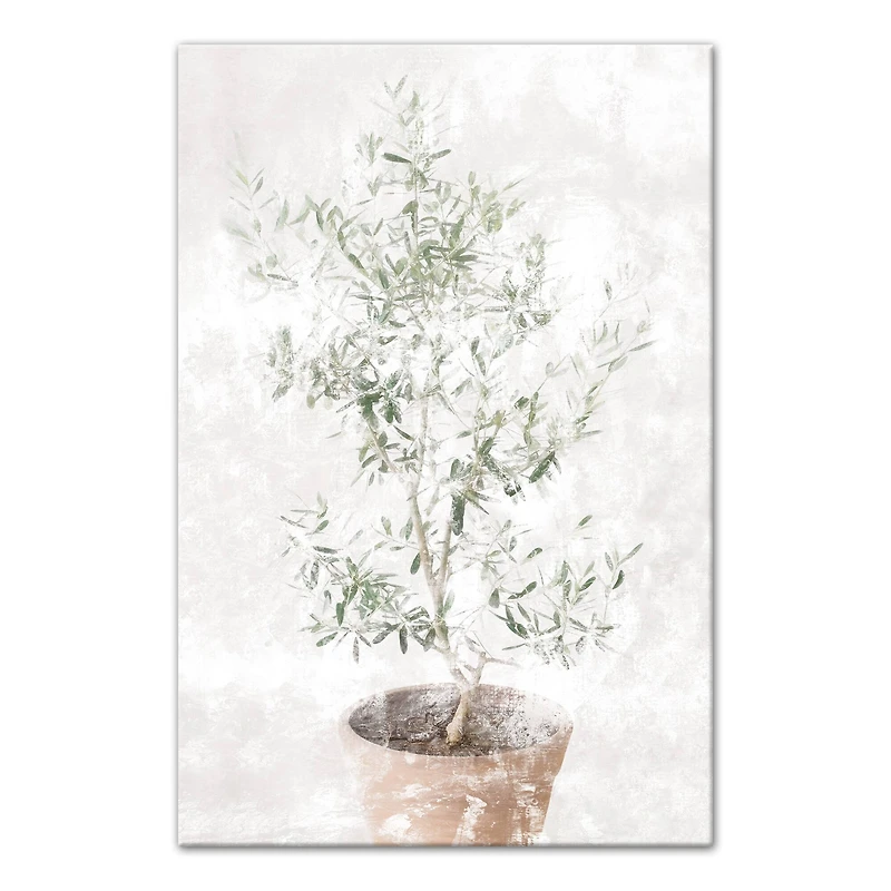 Washed Olive Tree 20" x 30" Canvas Wall Art