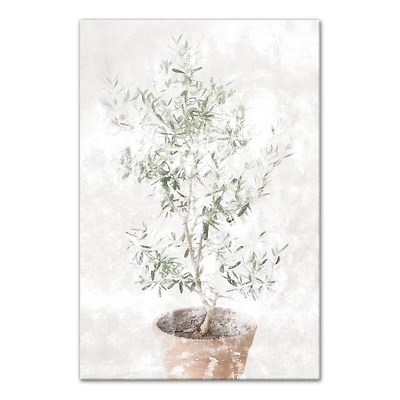 Washed Olive Tree 20" x 30" Canvas Wall Art