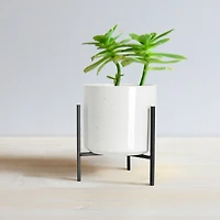 Hello Honey® 8" White Stoneware Flower Pot with Black Metal Stand