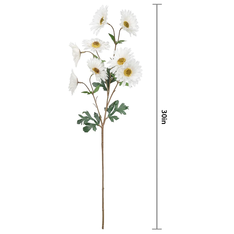 White Daisy Stem by Ashland®