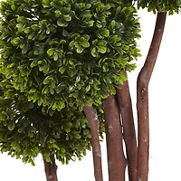 4ft. Potted Boxwood Topiary Tree