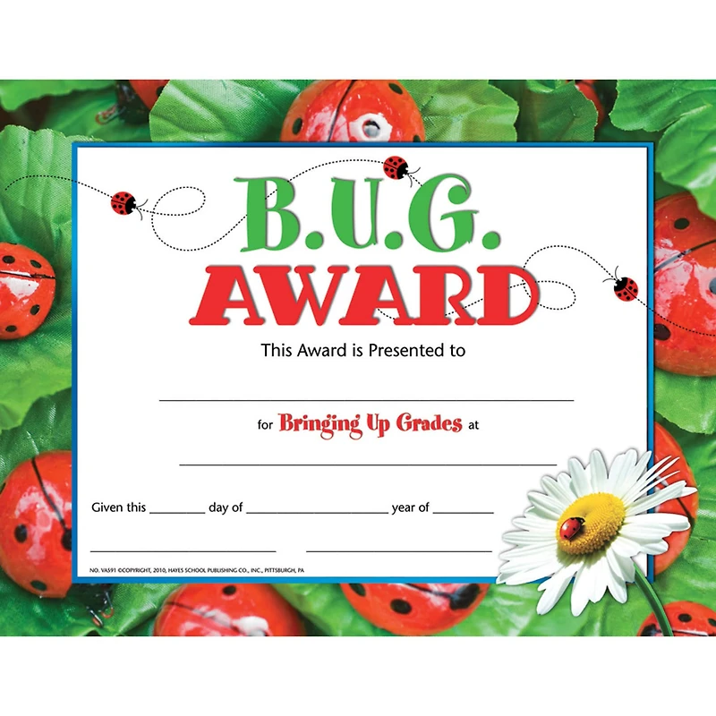 Hayes® B.U.G. Award, 3 Packs of 30