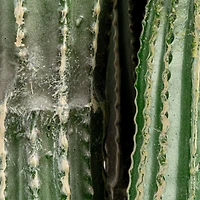 Hello Honey® Round Faux Green Pachycereus Cactus in Plastic Pot