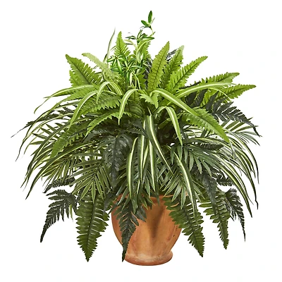 23" Mixed Leaf & Fern Plant in Terra Cotta Planter
