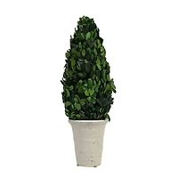 Hello Honey® 17'' Boxwood Cone Topiary in White Clay Pot