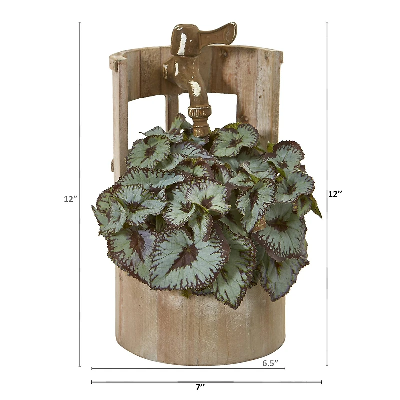 12" Rex Begonia in Faucet Planter