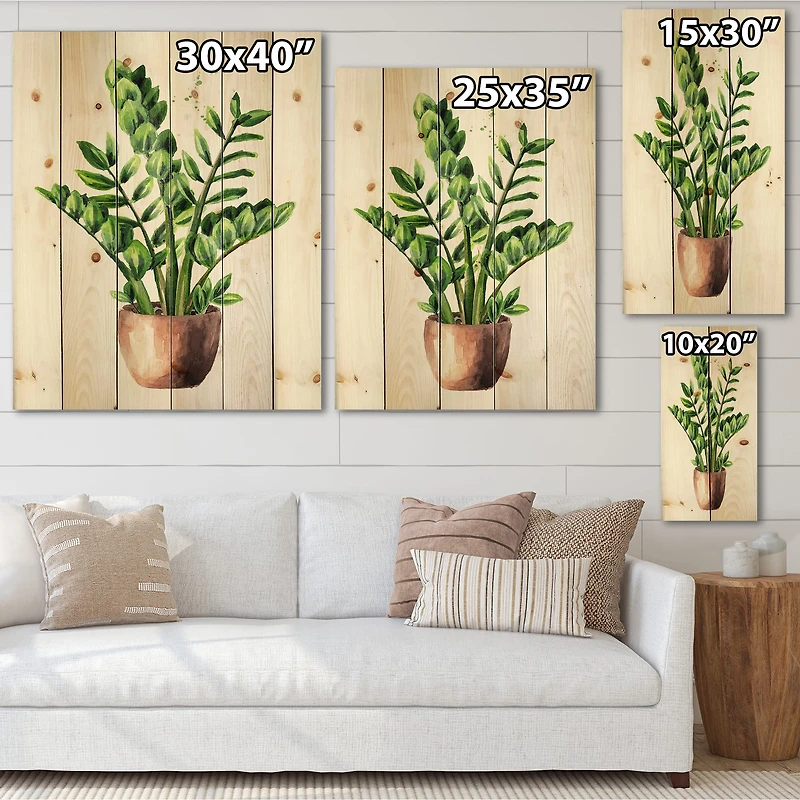 Designart - Zamioculcas Tropical Plant With Green Leaves