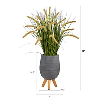 3ft. Onion Grass Plant in Gray Planter with Stand