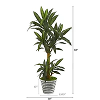 5ft. Yucca Plant in Decorative Tin Bucket