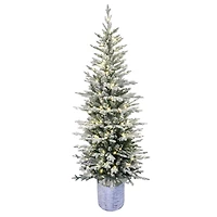 6ft. Pre-Lit Flocked Arctic Fir Pencil Artificial Christmas Tree, Warm White LED Lights