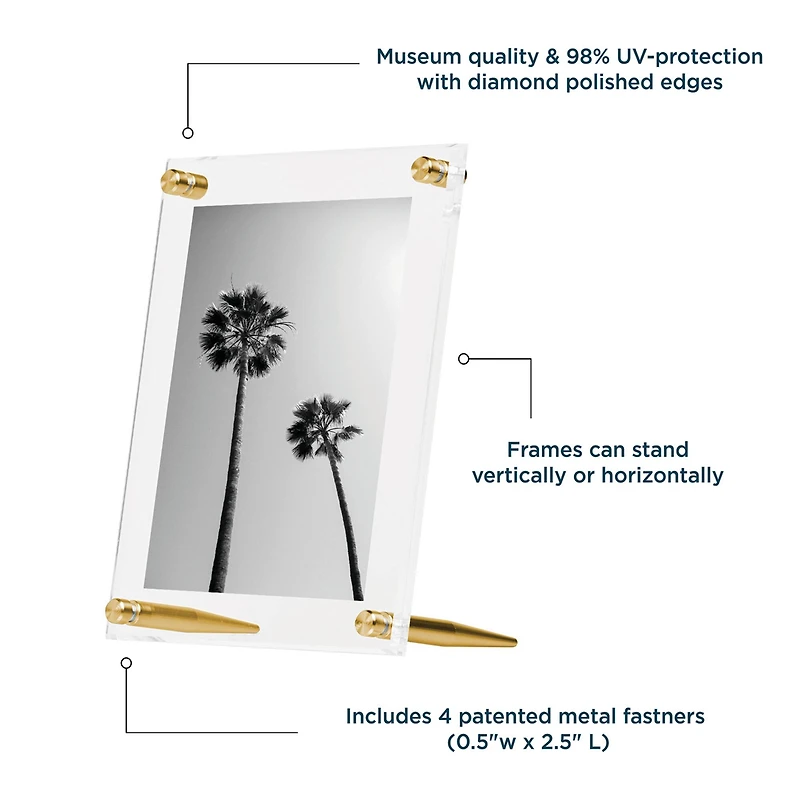 Wexel Art Clear Acrylic Tabletop Floating Picture Frame with Gold Hardware