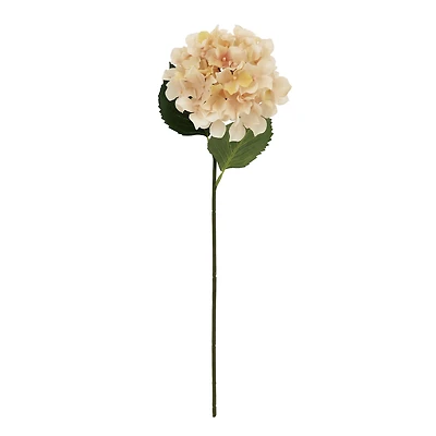 27" Beige Hydrangea Stem by Ashland®