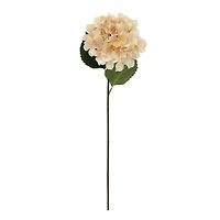 27" Beige Hydrangea Stem by Ashland®