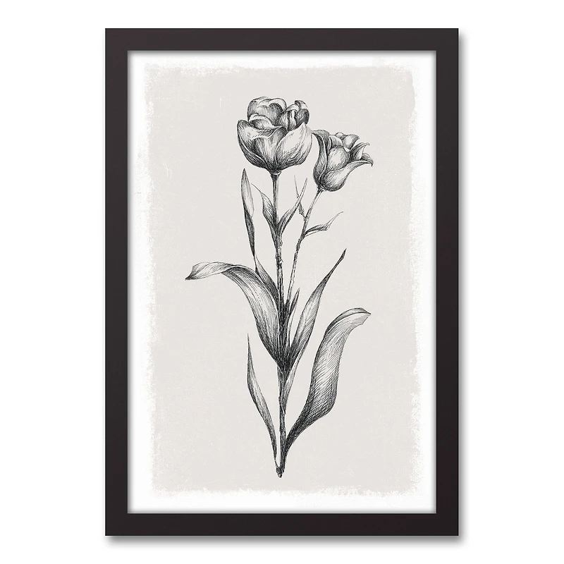 Floral Stems Sketch 13.73" x 19.73" Black Framed Canvas
