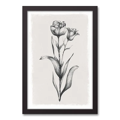 Floral Stems Sketch 13.73" x 19.73" Black Framed Canvas